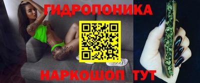 spice Будённовск