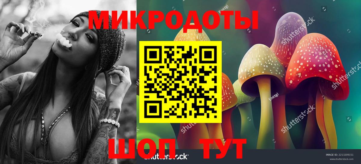 как найти   Вход с VPN  Новороссийск  Псилоцибиновые грибы Psilocybe 